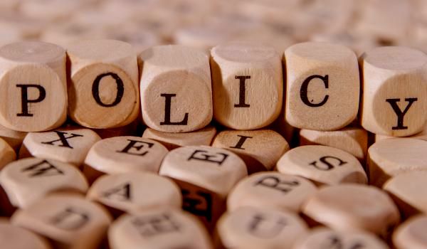 Policy review and analysis